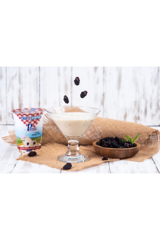 Complete Yogurt Pomar Rum with Raisins - Glass 150g